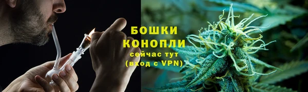 PSILOCYBIN Абдулино